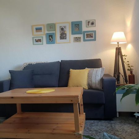 Bonito Y Coqueto Apartamento Cordoba Dış mekan fotoğraf