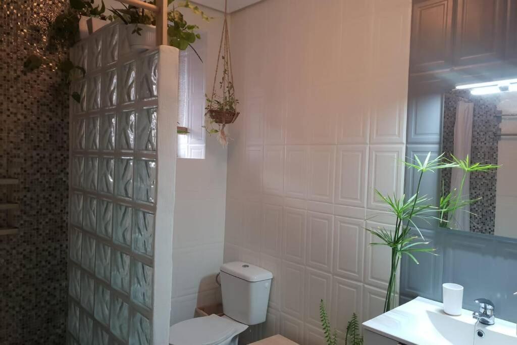 Bonito Y Coqueto Apartamento Cordoba Dış mekan fotoğraf
