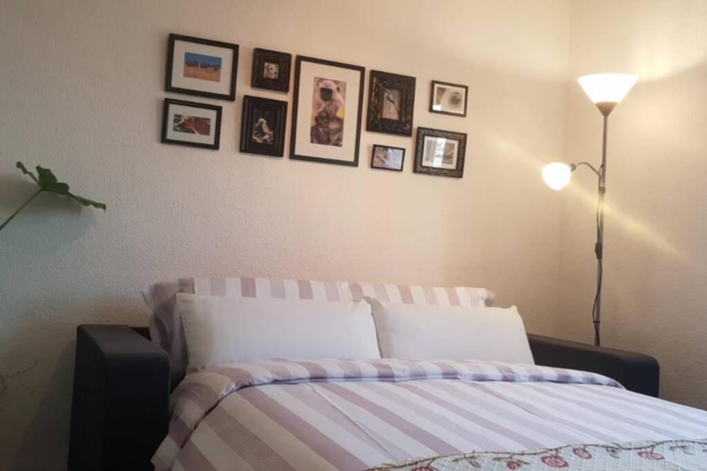 Bonito Y Coqueto Apartamento Cordoba Dış mekan fotoğraf