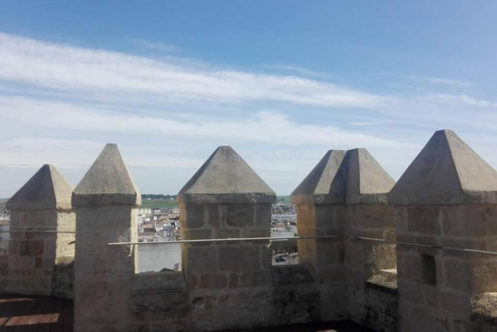 Bonito Y Coqueto Apartamento Cordoba Dış mekan fotoğraf
