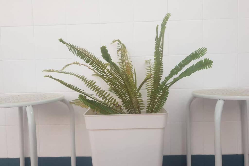 Bonito Y Coqueto Apartamento Cordoba Dış mekan fotoğraf