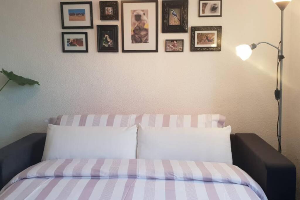 Bonito Y Coqueto Apartamento Cordoba Dış mekan fotoğraf