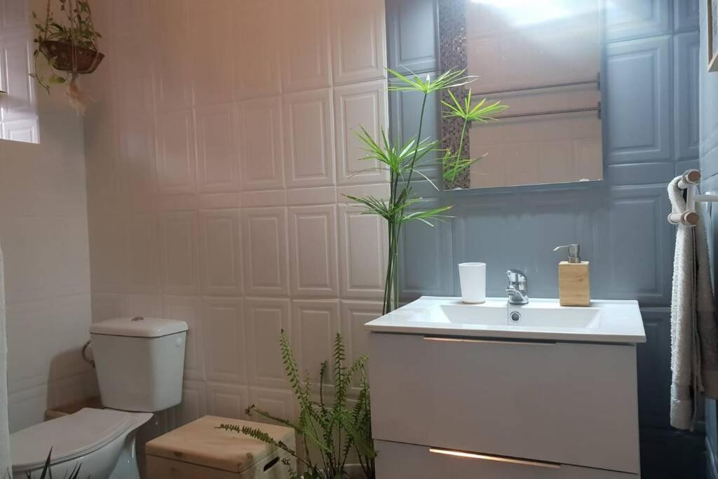 Bonito Y Coqueto Apartamento Cordoba Dış mekan fotoğraf
