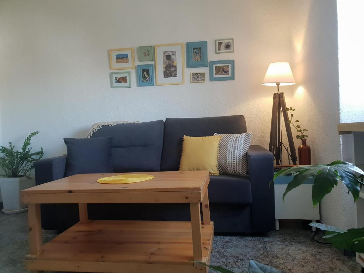 Bonito Y Coqueto Apartamento Cordoba Dış mekan fotoğraf